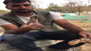 Mezarlıklarda çıkanlar insanları ürkütüyor