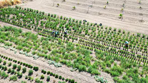 Eti Alüminyum maden sahalarına yeşil dokunuş yaptı