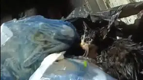 Temizlik işçilerinin dikkati hayat kurtardı: Poşetle çöpe atmışlar