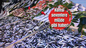 Hamsi sevenlere müjde gibi haber! Fiyatı bir günde tam 100 TL birden düştü