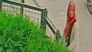 Battaniyeyi saniyeler içinde çaldı: Önce çevreyi kolladı