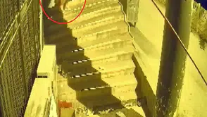 Böyle hırsızlık görülmedi: Dükkân sahibi şok oldu