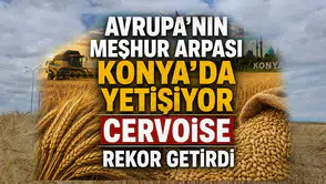 Avrupa’nın meşhur arpası Konya’da yetişiyor: Cervoise rekor getirdi