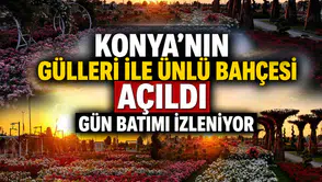 Konya'nın gülleri ile ünlü bahçesi açıldı: Gün batımını izletiyor