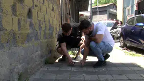 Kene paniği: Mahalleli elinde cımbızla kene avına çıktı