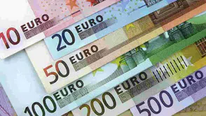 Türkiye Euro'ya mı geçiyor: Euro Ödeme Alanı'na başvuru yapıldı