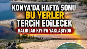 Konya'da hafta sonu bu yerler tercih edilecek: Balıklar kıyıya yaklaşıyor