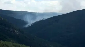 Orman yangınına müdahale sürüyor: 7 helikopter, 4 uçak ve 22 arazöz görevde