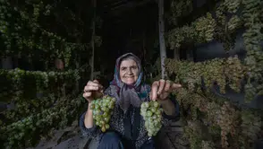 Konya'daki kuru üzüm üreticileri beklemede