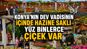 Konya'nın dev vadisinin içinde hazine saklı: Yüz binlerce çiçek var