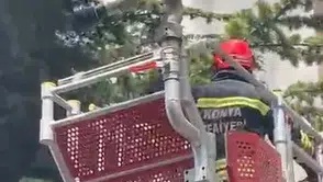 Konya'da kedi kurtarma operasyonu