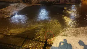 Konya’da su samuru sürprizi: Gören telefona sarıldı