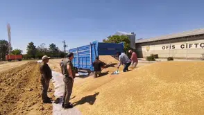 Konya'da dev hasat: TMO'dan 2 milyon tona yakın hububat alımı