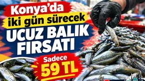 Konya’da iki gün sürecek ucuz balık fırsatı: Sadece 59 TL