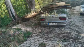 Konya'da fırtınada felaket: Kökünden sökülen ağaç otomobilin üzerine devrildi