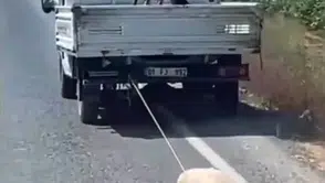 Böyle vicdansızlık görülmedi