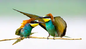Konya'nın doğa gezgini Önder Metin’den belgesel tadında paylaşımlar