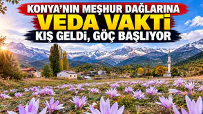 Konya'nın meşhur dağlarına veda vakti: Kış geldi, göç başlıyor