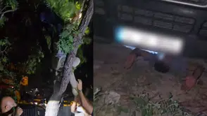 Konya'da arananların yakalandıkları yerler pes dedirtti: Ağaçta yakalandı