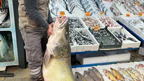 Gölde yakalandı gören hayrete düştü: Kilosu 500 lira