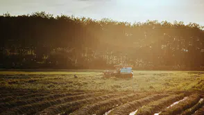 Kültivatör Nedir? Toprak İşlemede Ne İşe Yarar, Ne Zaman Kullanılır?