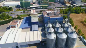 Türkiye'nin yeni ekmeği tarımın başkenti Konya’da geliştirildi