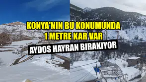 Konya'nın bu konumunda 1 metre kar var: Aydos hayran bırakıyor