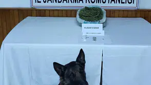 Konya’da jandarmadan uyuşturucu operasyonları: 11 tutuklama