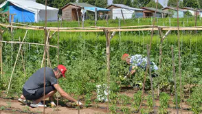Hobi bahçesi olanlar yandı: Milyonluk cezalar geldi