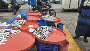 Pazarda hamsinin kilosu 200 liraya çıktı