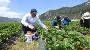 Konyalı çiftçiler: Tarım savunma sanayii kadar hayati önemde