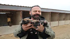 Mevsimin ilk kangalları dünyaya gözlerini açtı