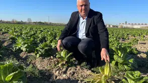 Konya'yı don vuracak mı: İkinci soğuk hava dalgası için tarih verildi