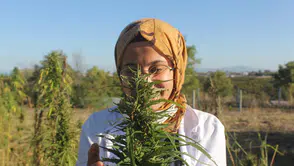 Konya'nın yasağı kalkmıştı: Üretimde yeni lider olması bekleniyor