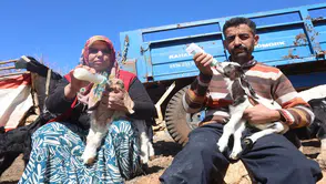 Anneleri akaryakıt içip telef oldu: Geriye kalan oğlakları böyle besliyorlar