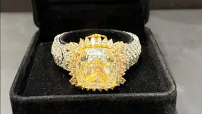 Dünya çapında operasyon: 3 milyon dolar 80 karat pırlanta