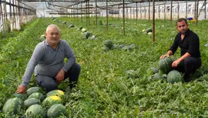 Karpuzu, kavunu pahalı yiyeceğiz: Tarımda ÜFE Mart'ta arttı