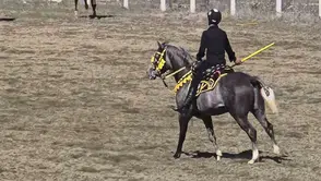Bu sefer araçlar değil atlar çarpıştı: Acı kaza yaşandı
