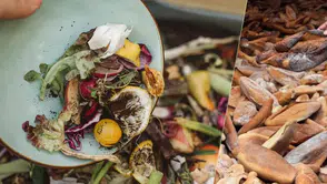 6 milyon ekmek, 30 milyon sebze meyve: Çöpe giden 200 milyar lira