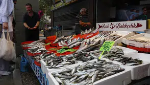 Av mevsiminin son gülerinde istavrit bolluğu