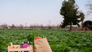 Tarım ve gıdada SOS çağrısı: İran savaşı bir tusinami üretecek