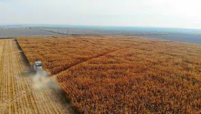 Mısır ithalatında 3 milyon tonluk tarife kontenjanı açıldı