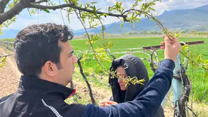 Mayıs ayında kar yağacak: İç Anadolu'ya zirai don uyarısı