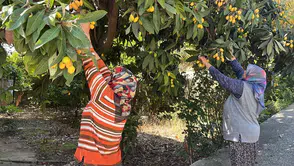 Bedava dağıttı: Gelenler poşet poşet topladı