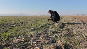 Konyalı çiftçilerden tarımda yeni bir anlayış talebi: Toprak bozuluyor, su kireniyor