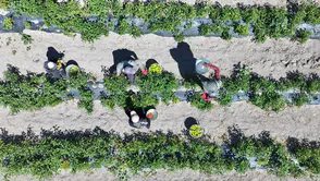 Konyalı vatandaşlar bu seti ücretsiz alıyor: 12 farklı ürün dağıtılıyor