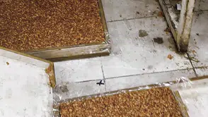 O kötü kokuyla ortaya çıktı: Evde mide bulandıran lokum ve cezerye üretimi