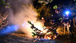 Çiftçinin derdi büyük: Sıfırın altında zirai don nöbeti