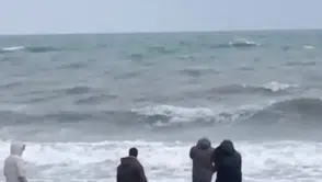 Sahile vuran çantadan çıkanlar herkesi şok etti