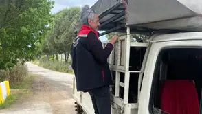 Küpesiz hayvan alınır mı: Kurbanlık alışverişinde ‘küpe' uyarısı